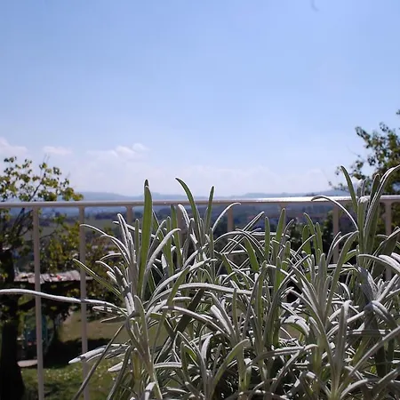 Casa Pico Apartment